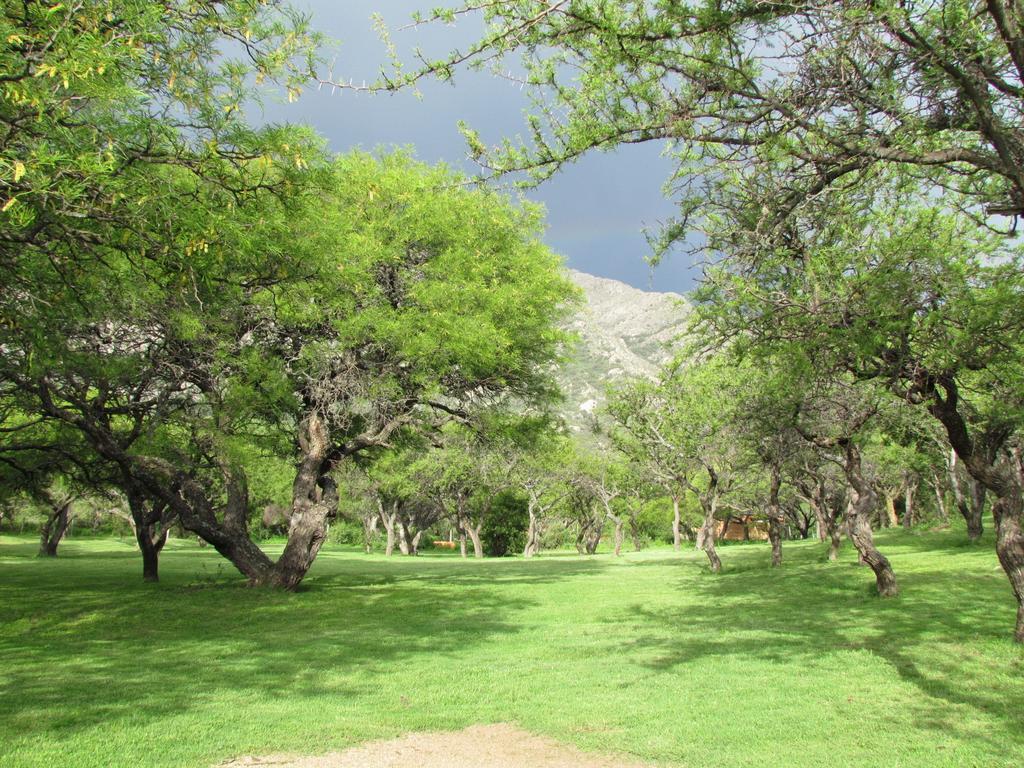 Cabanas De Montana San Miguel Кортадерас Номер фото