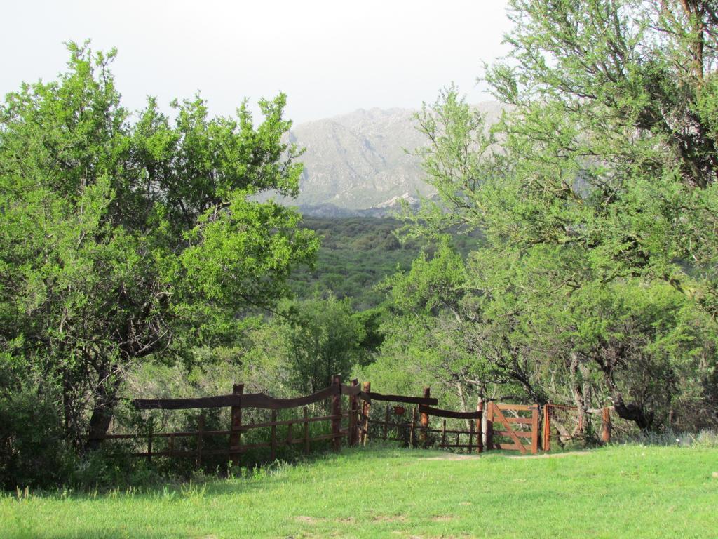 Cabanas De Montana San Miguel Кортадерас Номер фото